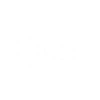 Organización que apoya a Planeta P3